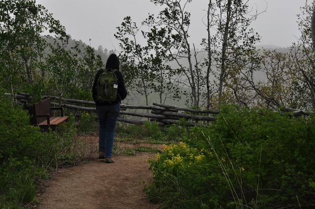 Big Al Trail of aspens